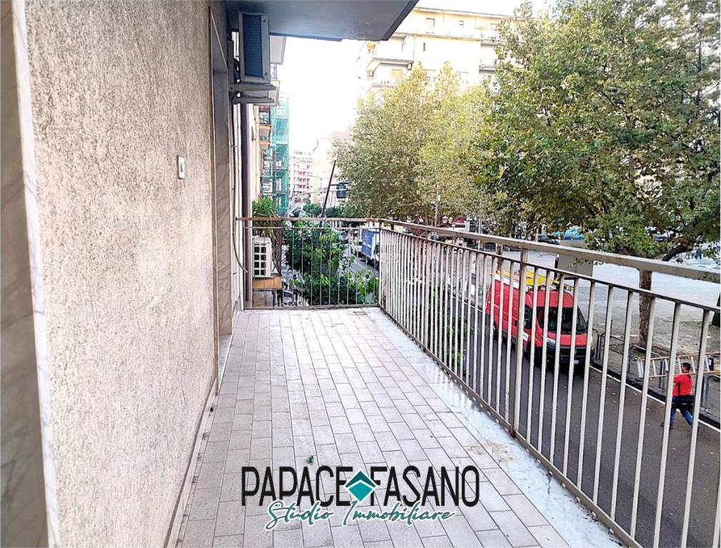 immagine annuncio 10 di 14