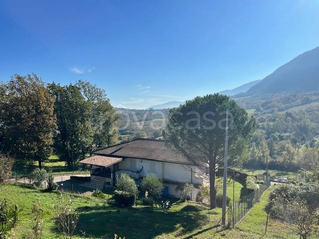 immagine annuncio 2 di 13