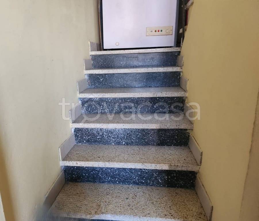 immagine annuncio 4 di 8