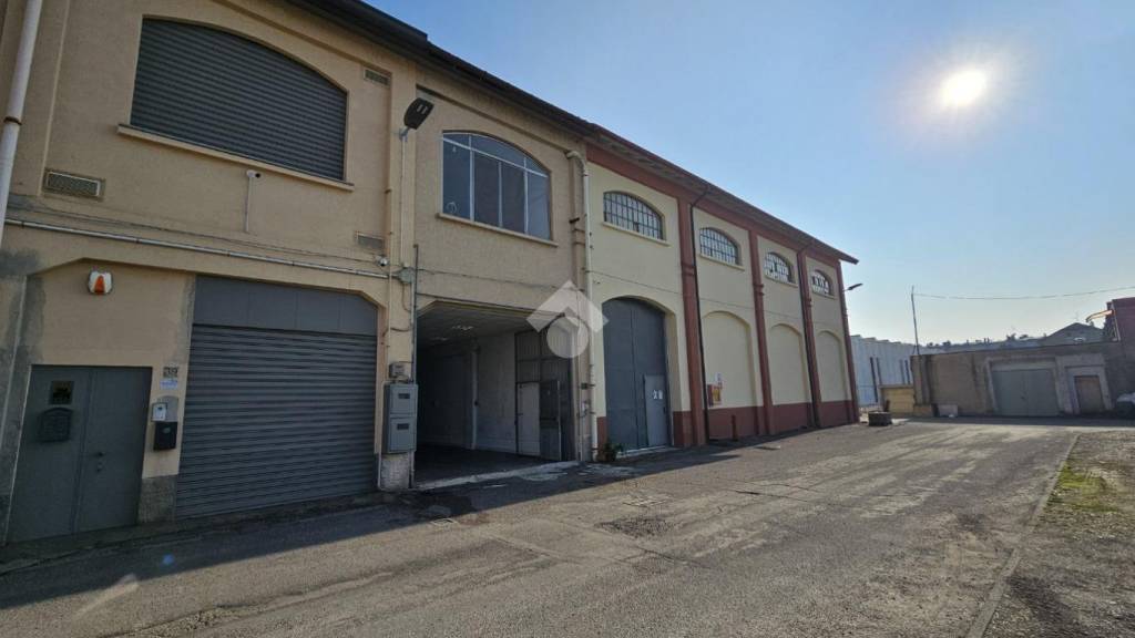 immagine annuncio 3 di 15