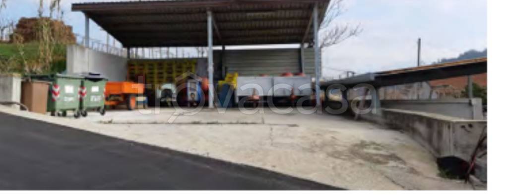 immagine annuncio 5 di 11