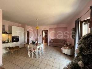 immagine annuncio 4 di 12