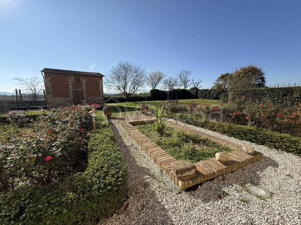 immagine annuncio 3 di 11