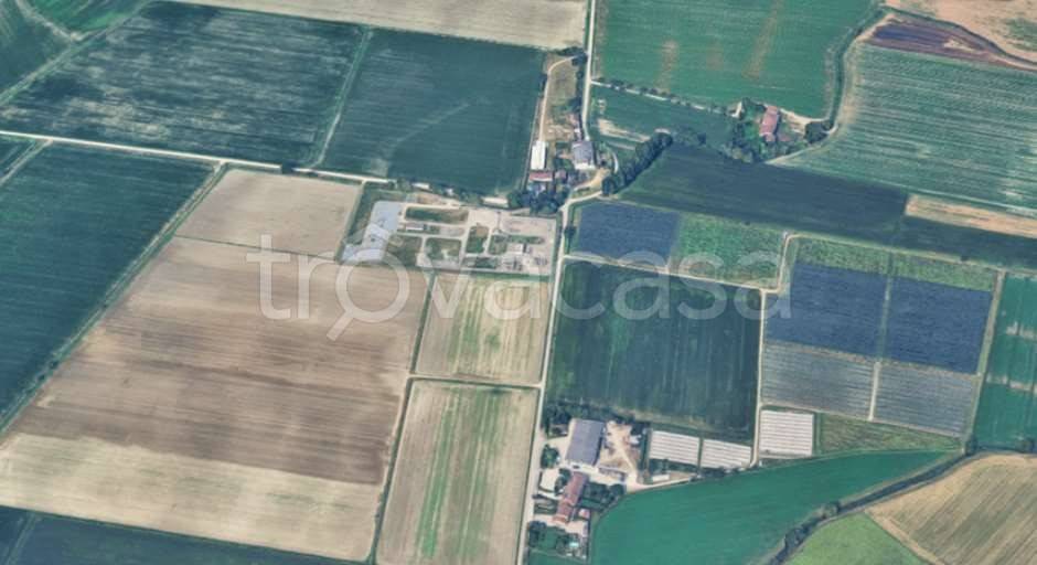 immagine annuncio 5 di 8