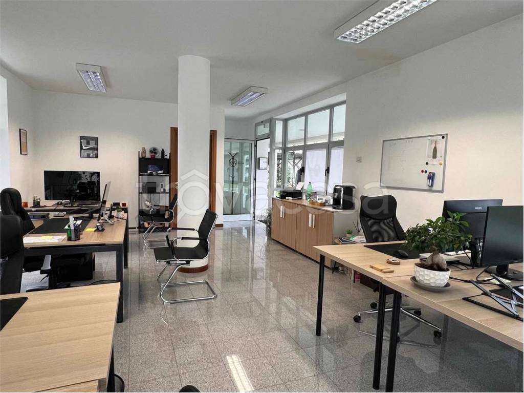 immagine annuncio 3 di 6