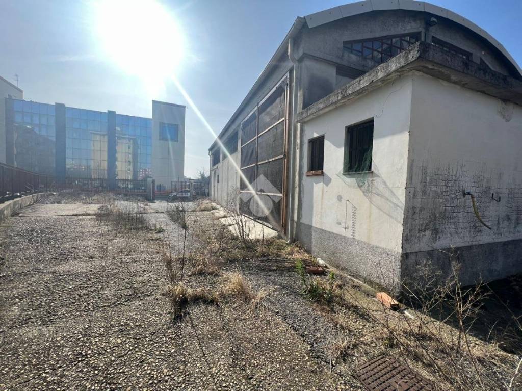 immagine annuncio 2 di 6