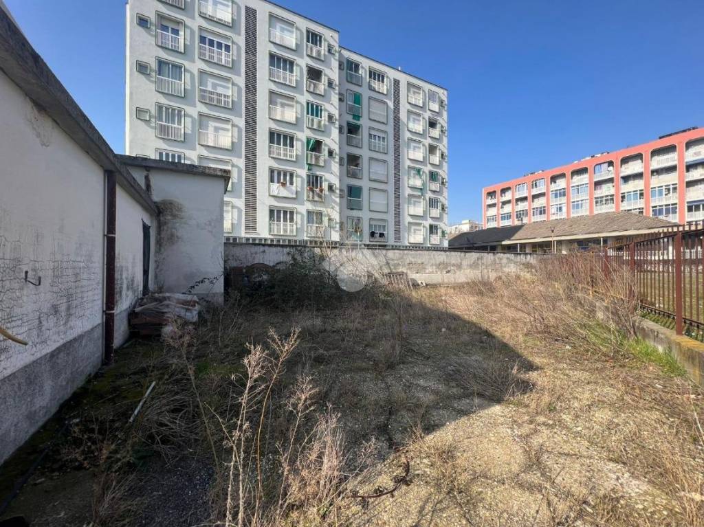 immagine annuncio 4 di 6