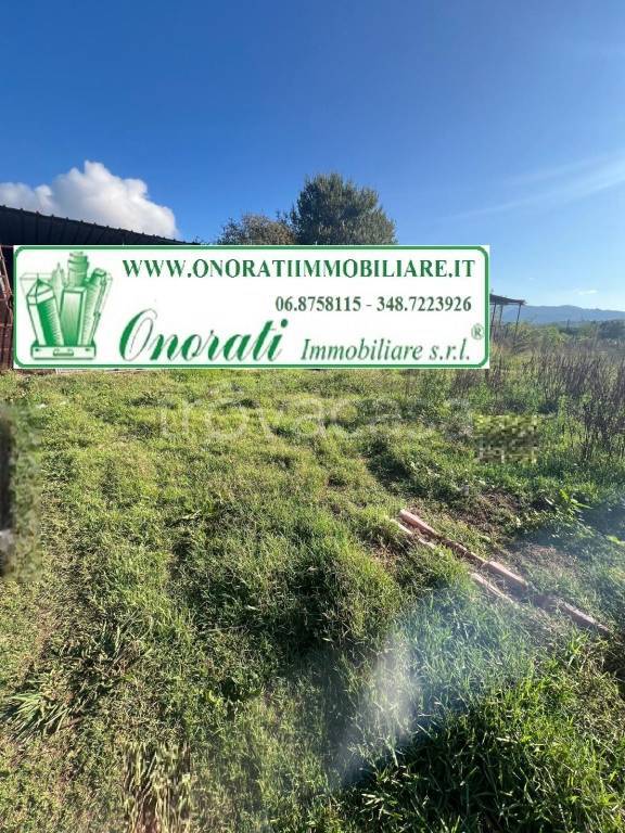 immagine annuncio 3 di 6