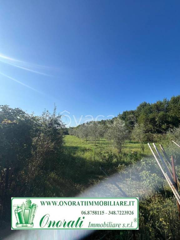 immagine annuncio 4 di 6