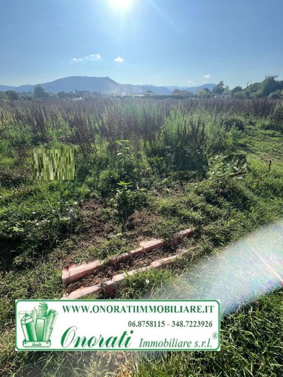 immagine annuncio 5 di 6