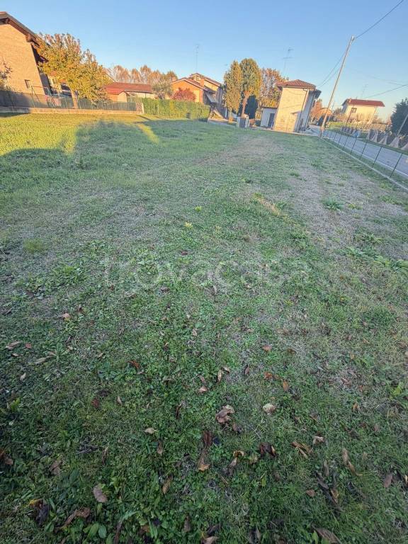 immagine annuncio 2 di 6