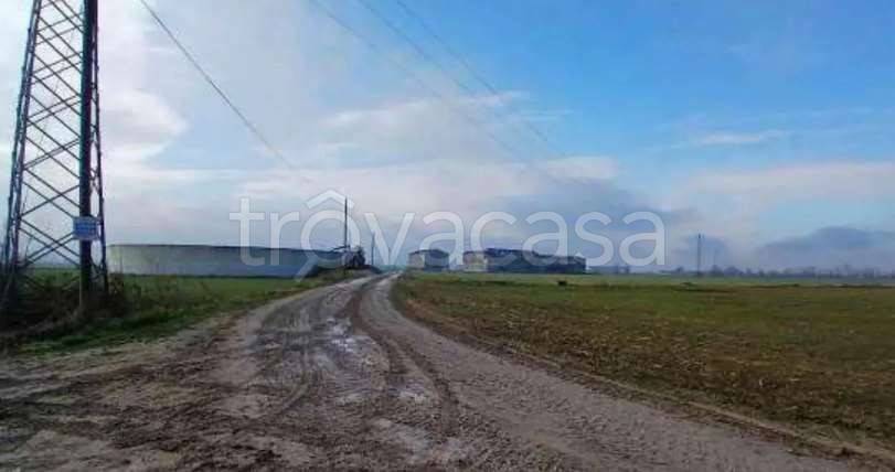 immagine annuncio 4 di 13