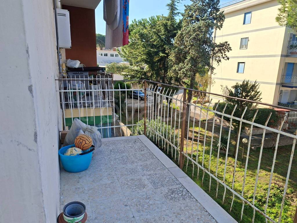 immagine annuncio 12 di 13