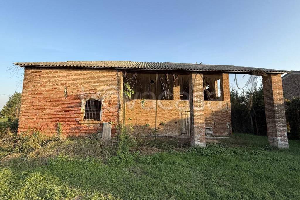 immagine annuncio 11 di 14