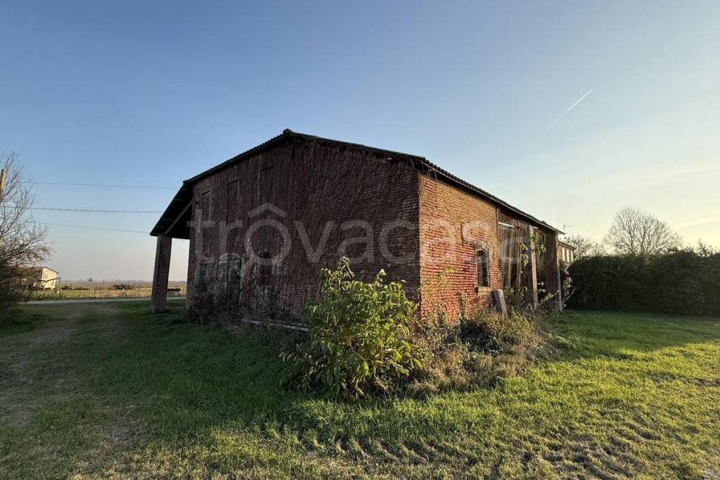 immagine annuncio 12 di 14