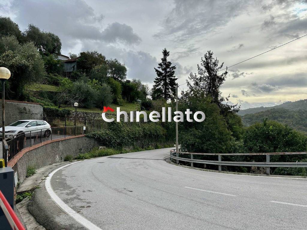 immagine annuncio 3 di 14