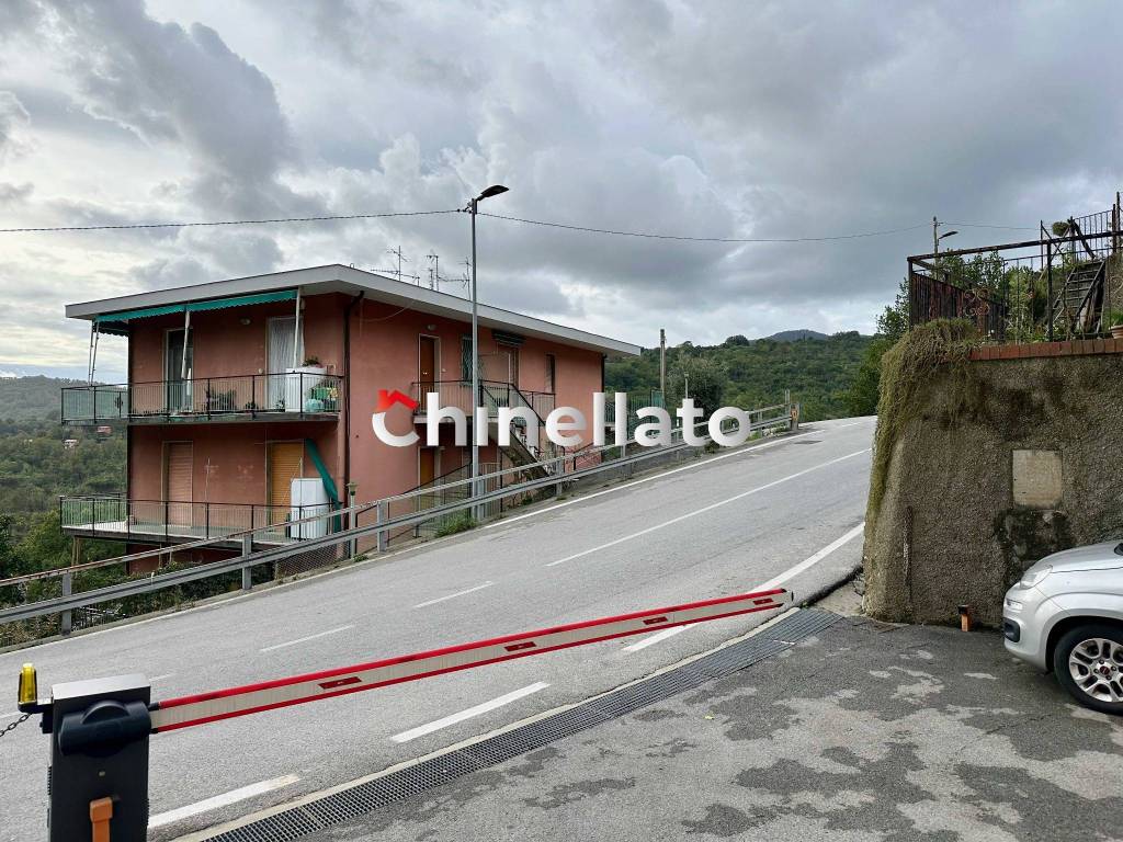 immagine annuncio 4 di 14