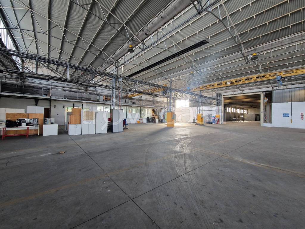 immagine annuncio 9 di 15