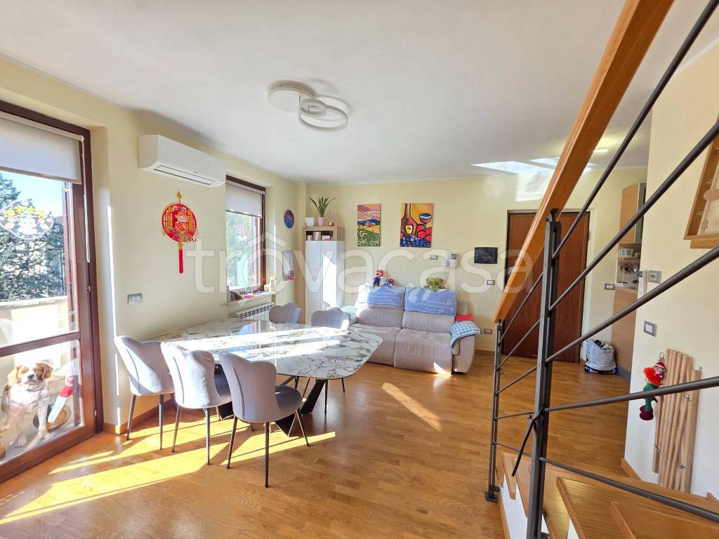 immagine annuncio 9 di 15