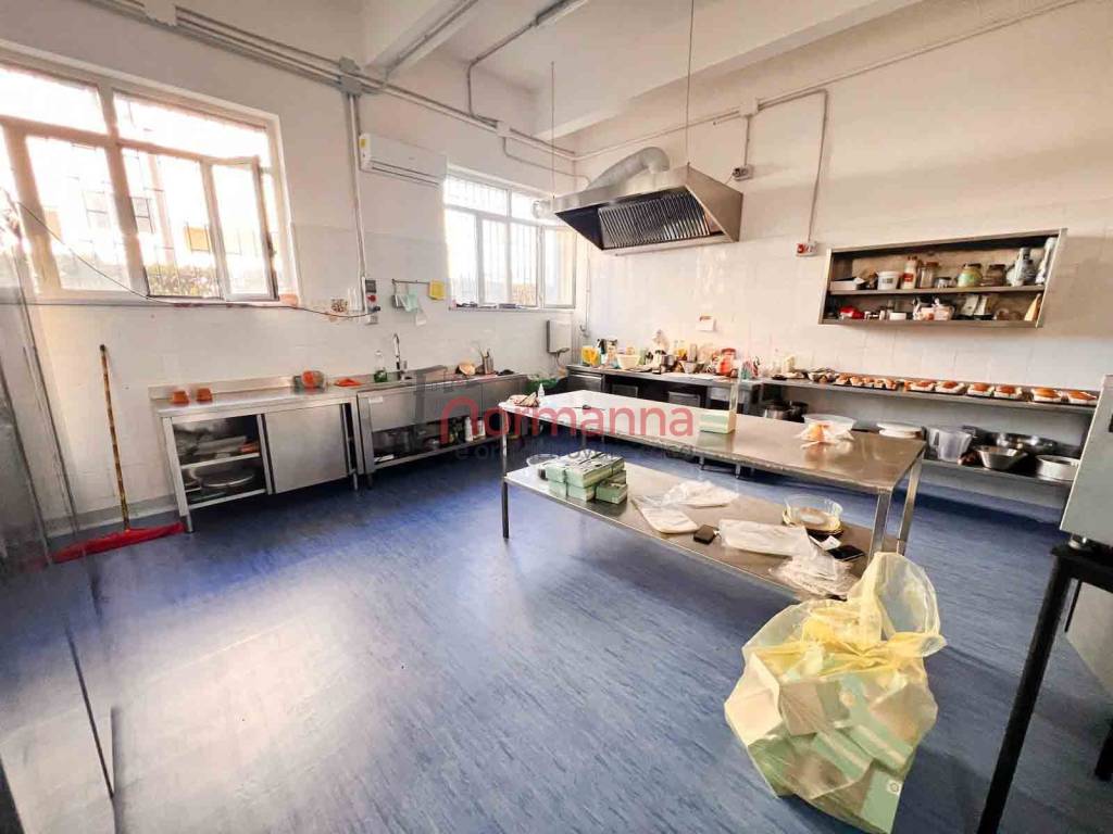 immagine annuncio 1 di 14