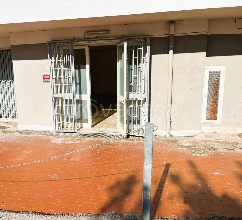 immagine annuncio 1 di 6