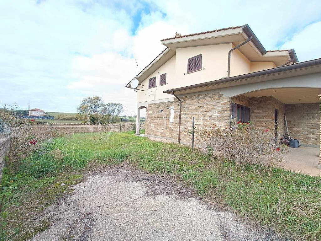 immagine annuncio 2 di 12