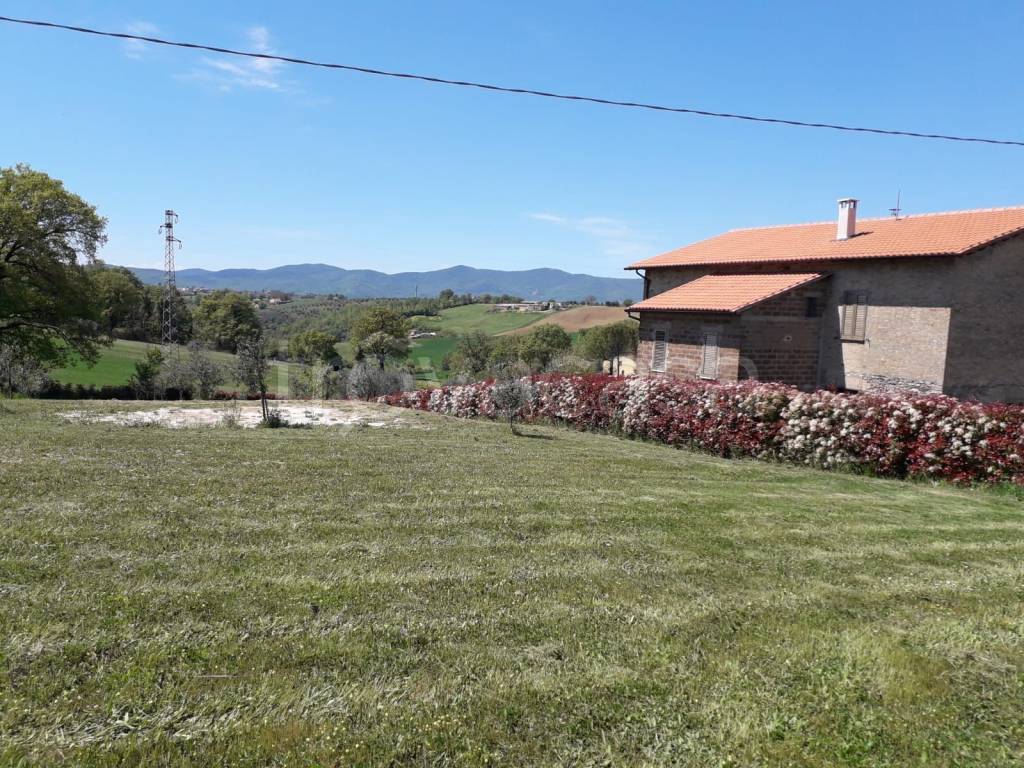 immagine annuncio 4 di 11