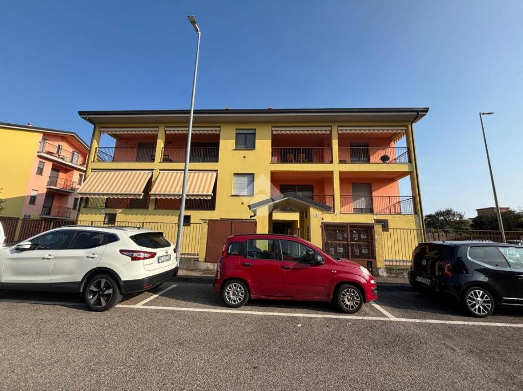 immagine annuncio 1 di 15