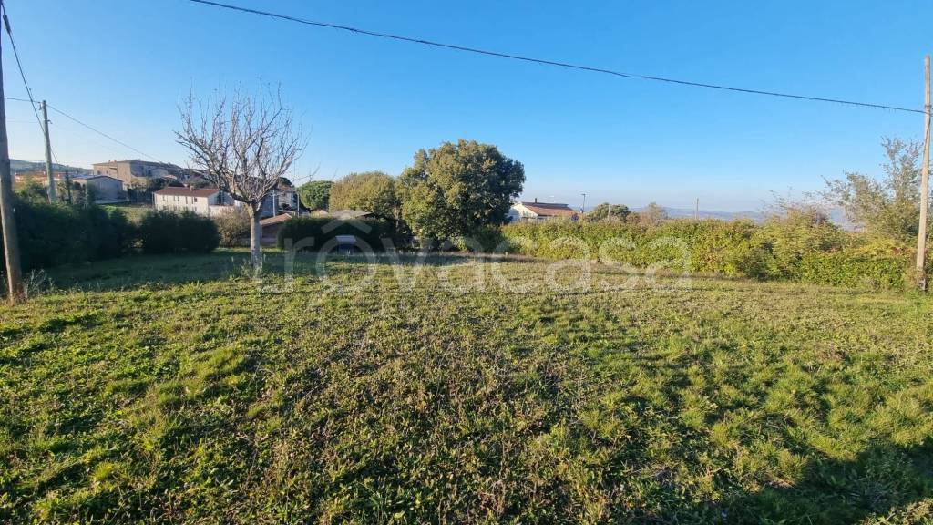 immagine annuncio 5 di 11