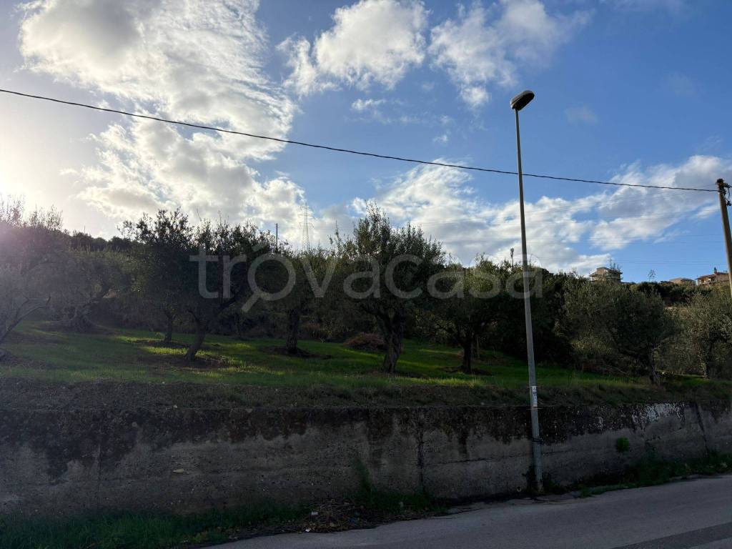 immagine annuncio 4 di 8