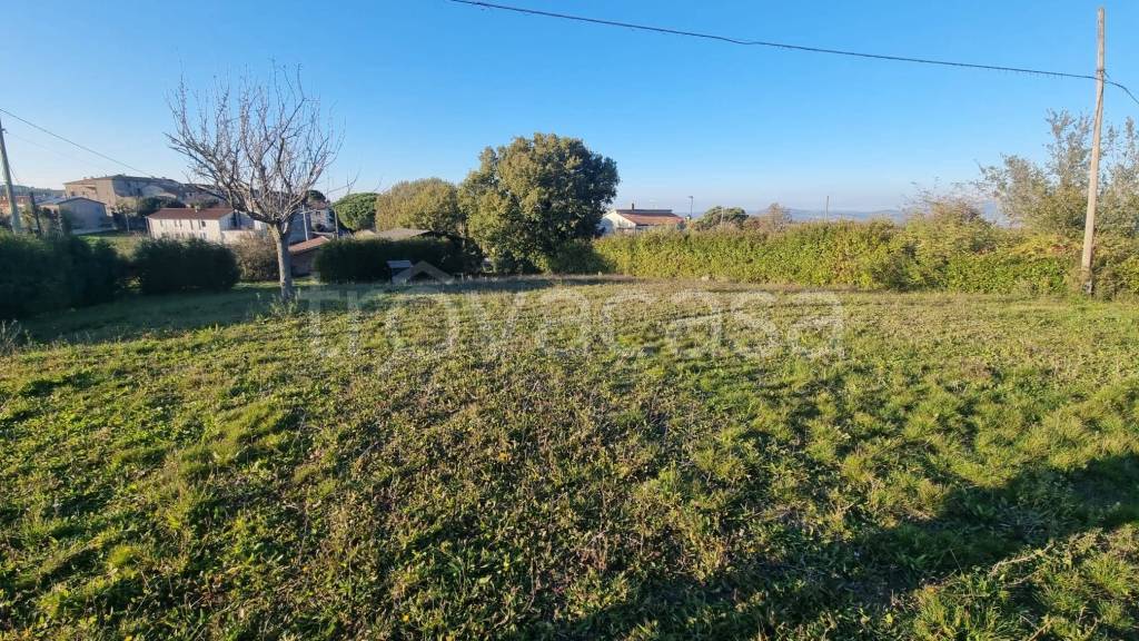 immagine annuncio 6 di 11