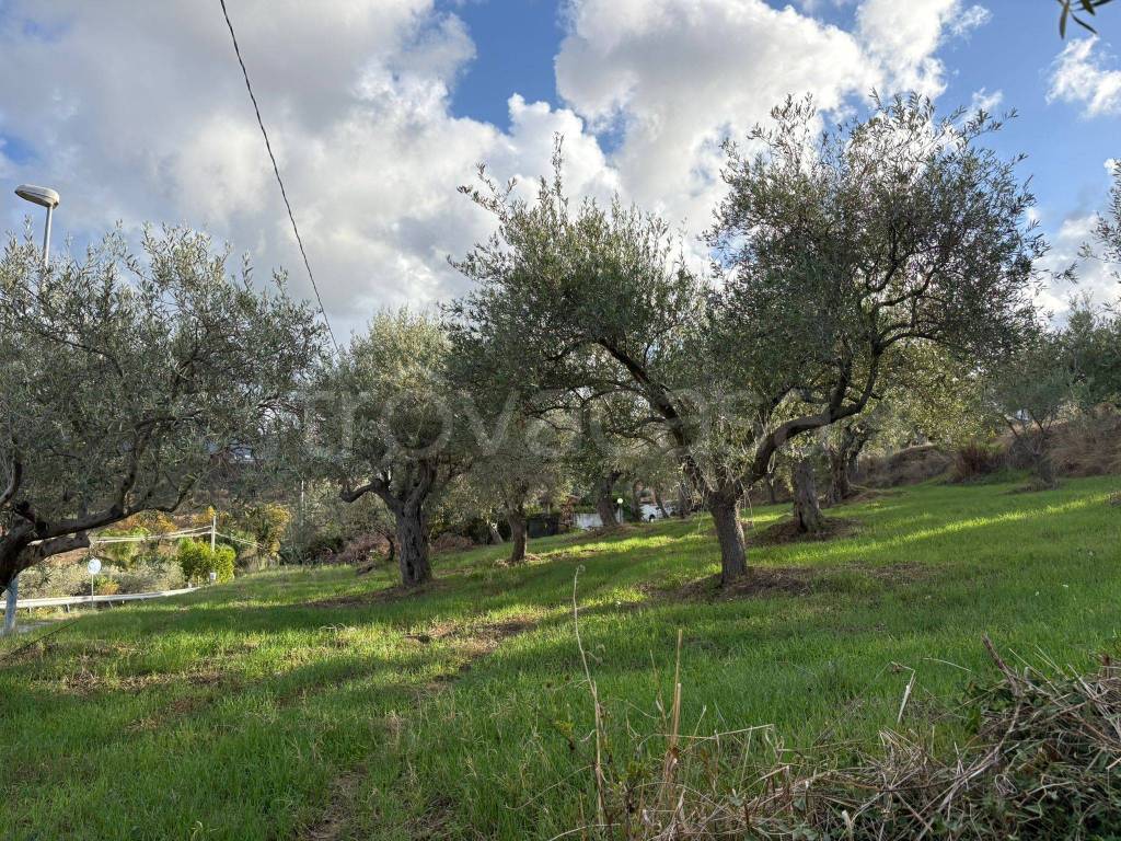 immagine annuncio 5 di 8