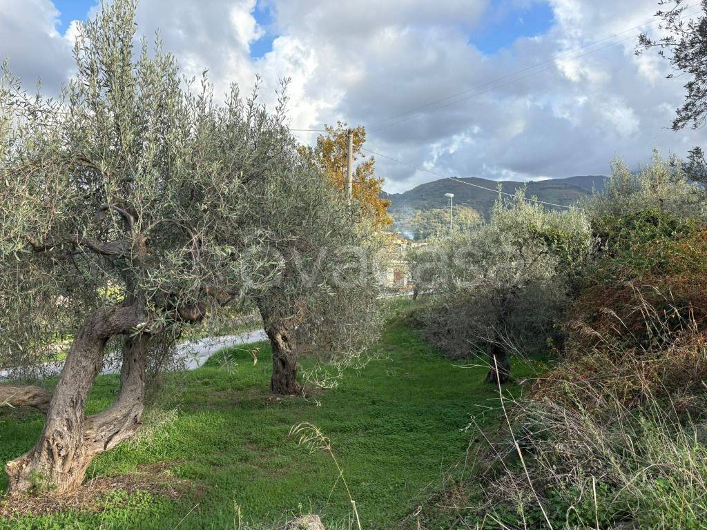 immagine annuncio 6 di 8