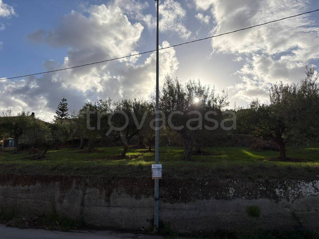 immagine annuncio 7 di 8