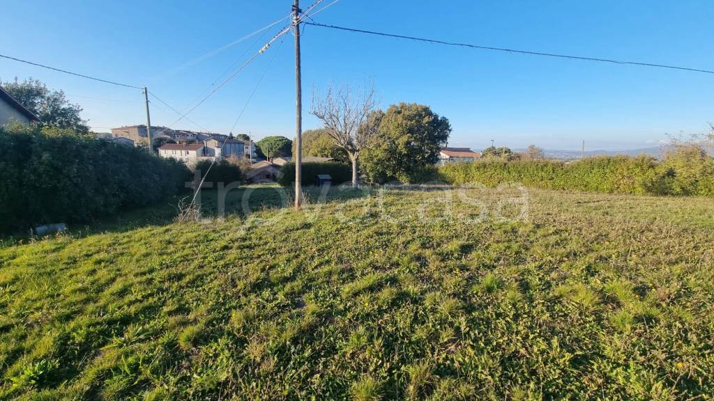 immagine annuncio 7 di 11