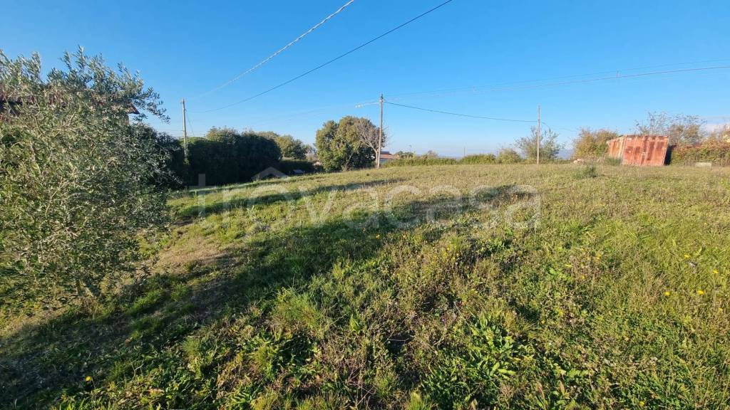 immagine annuncio 8 di 11