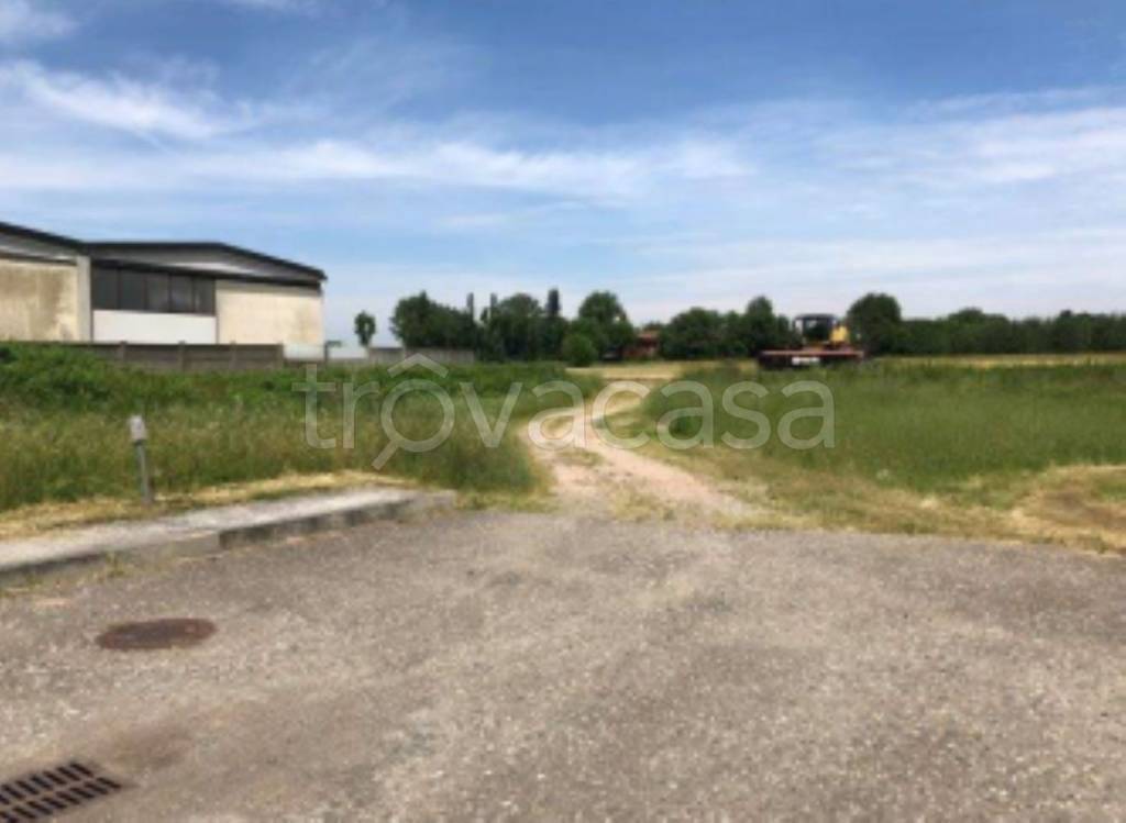 immagine annuncio 6 di 10