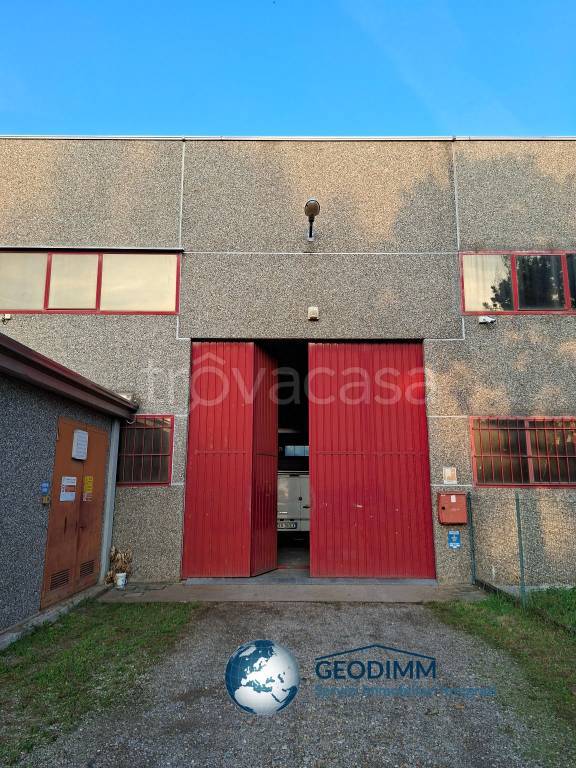 immagine annuncio 11 di 15