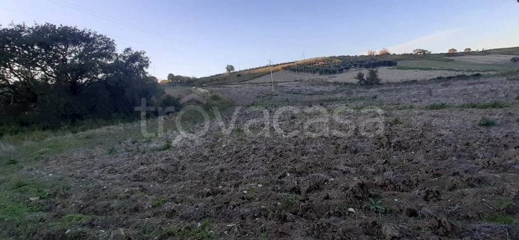 immagine annuncio 7 di 13