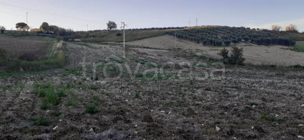 immagine annuncio 10 di 13