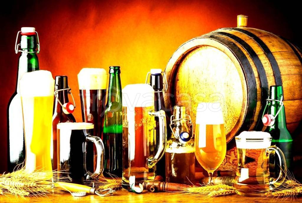 immagine annuncio 4 di 6