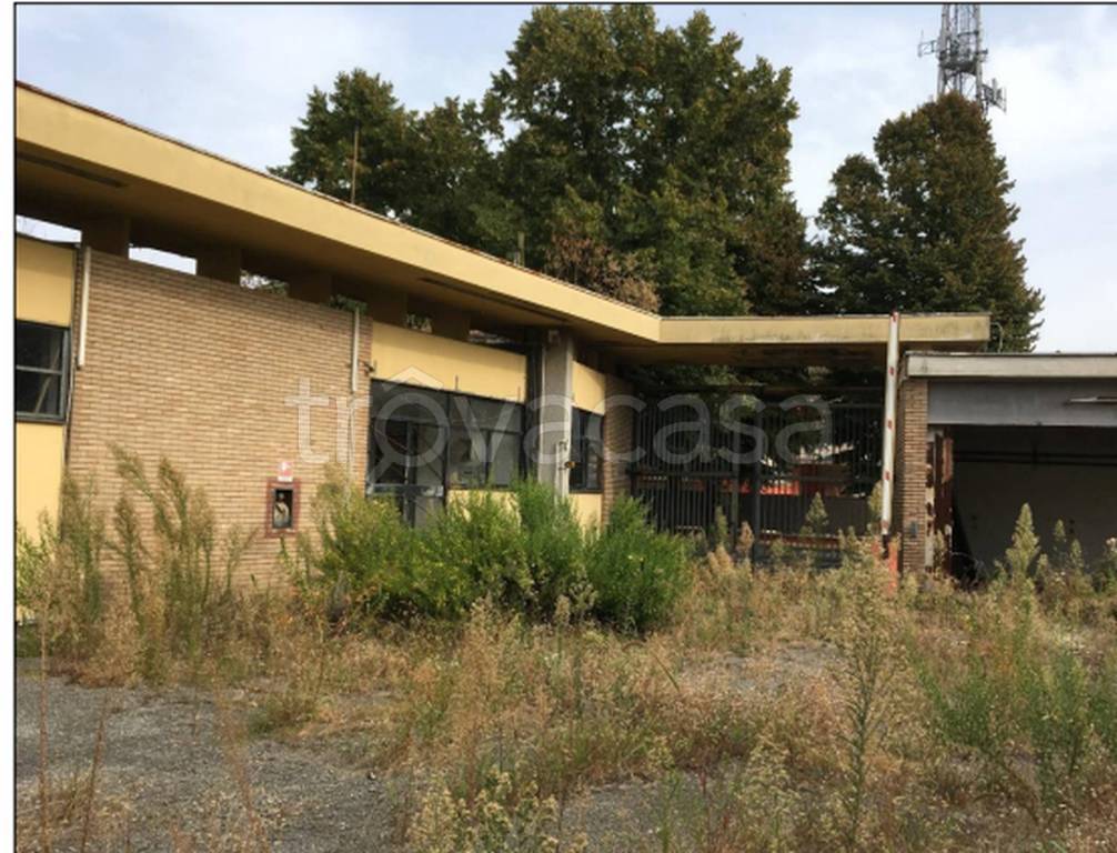 immagine annuncio 3 di 11