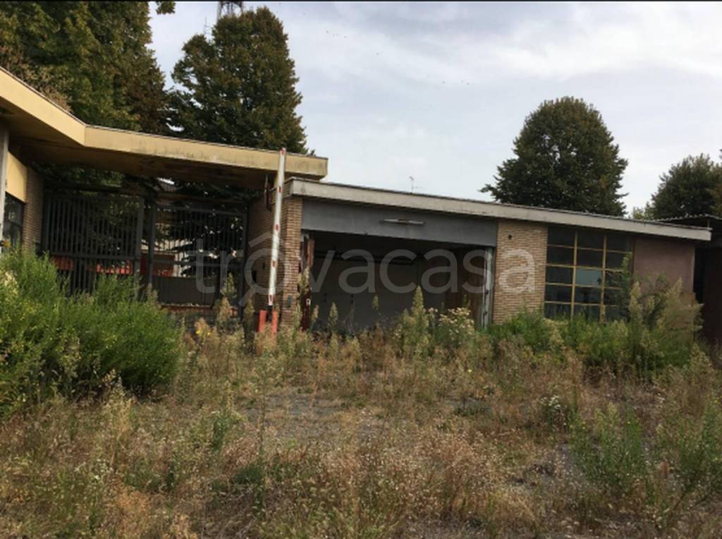 immagine annuncio 4 di 11