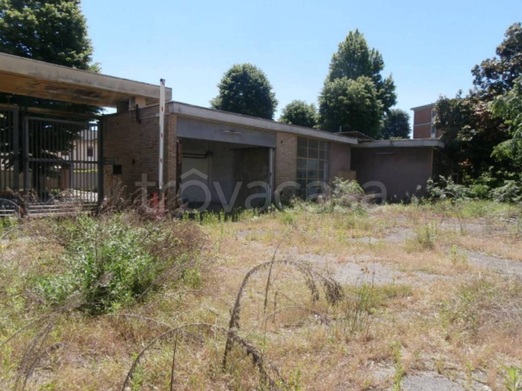 immagine annuncio 5 di 11