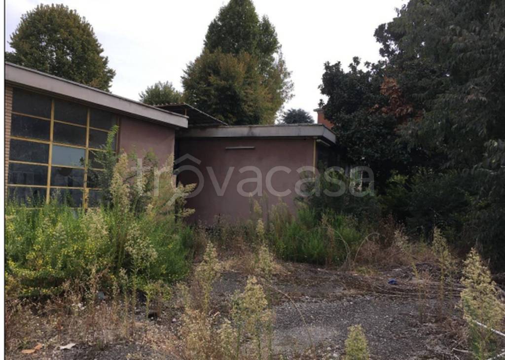 immagine annuncio 6 di 11