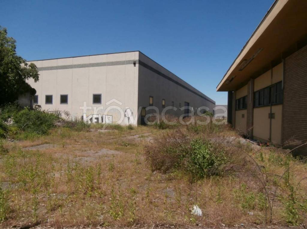 immagine annuncio 7 di 11