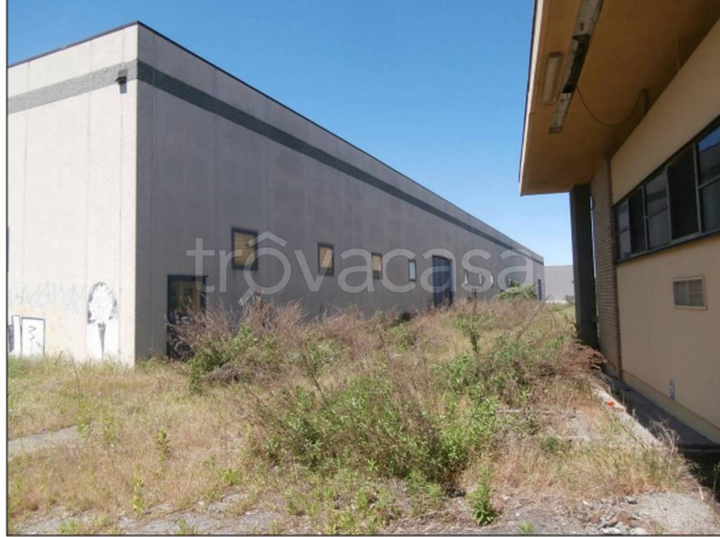 immagine annuncio 8 di 11