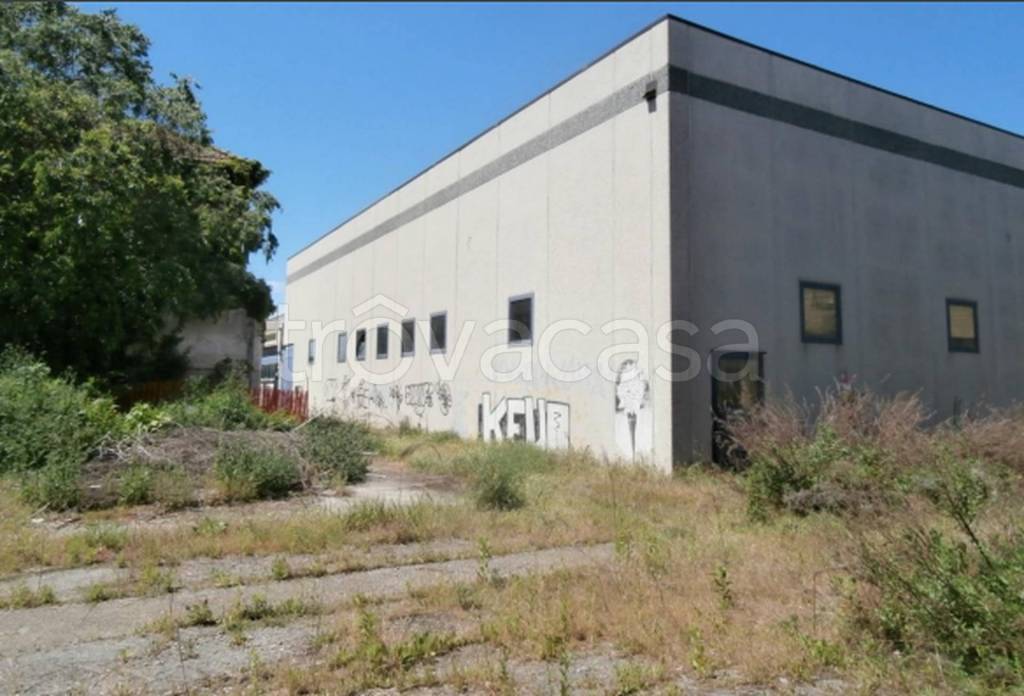 immagine annuncio 9 di 11