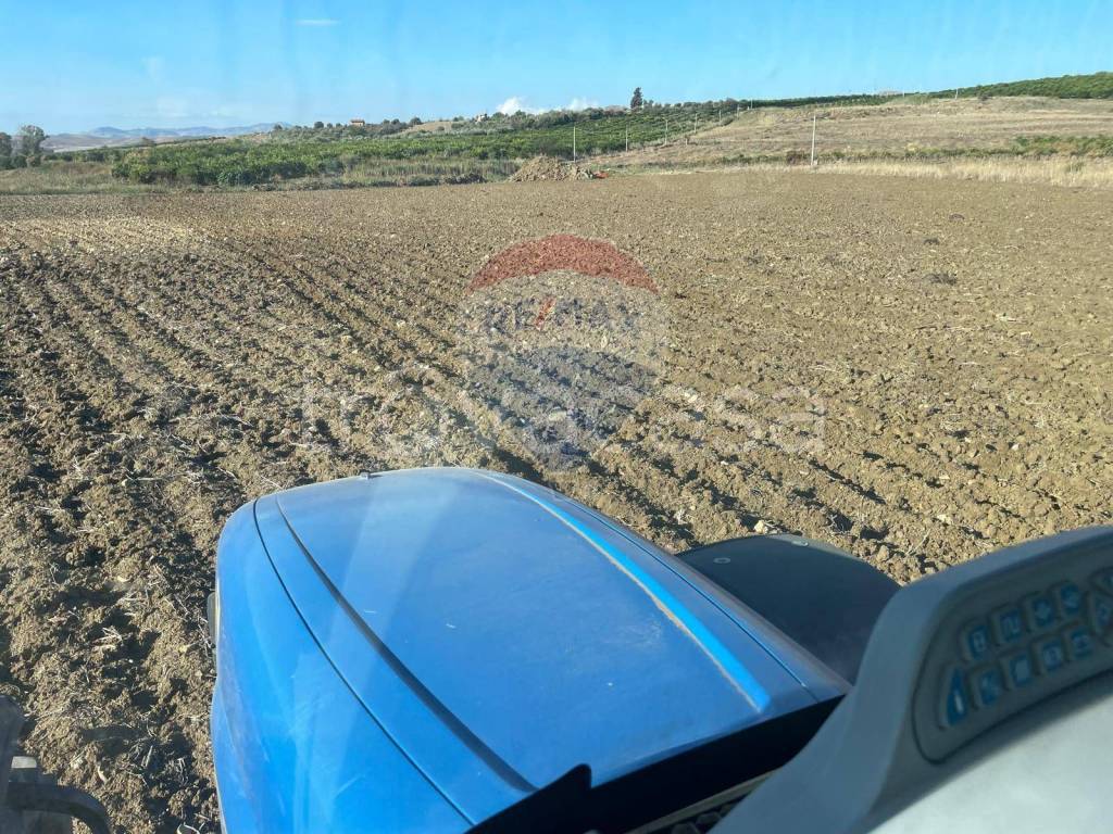 immagine annuncio 3 di 8