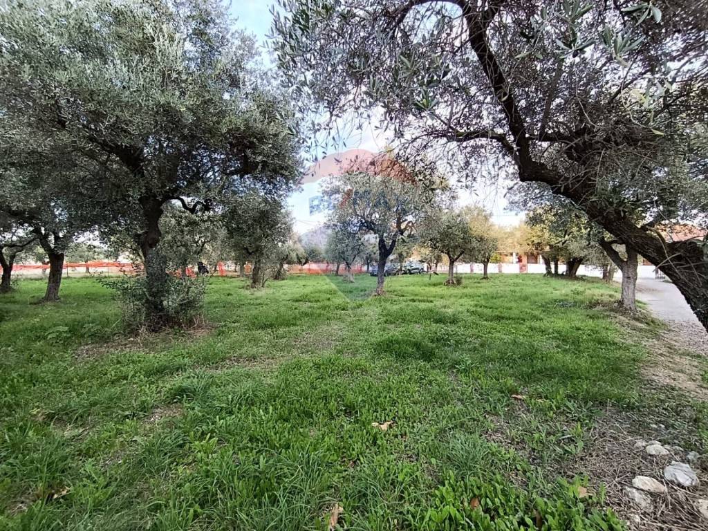 immagine annuncio 2 di 9